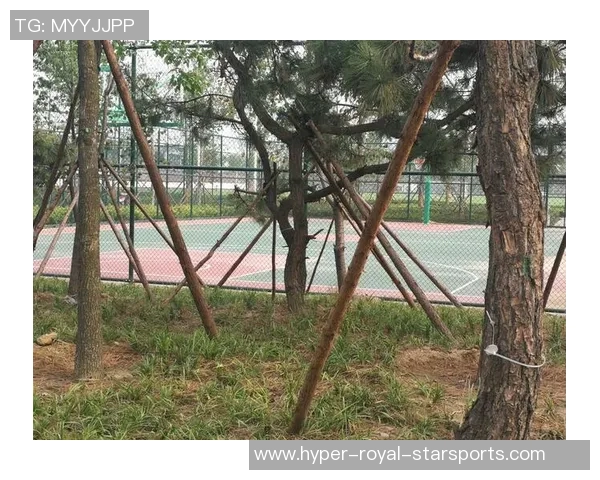 日照篮球场：激情四溢的运动圣地与青少年成长的摇篮